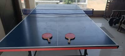 Giant dragon Table tennis with rackets and net