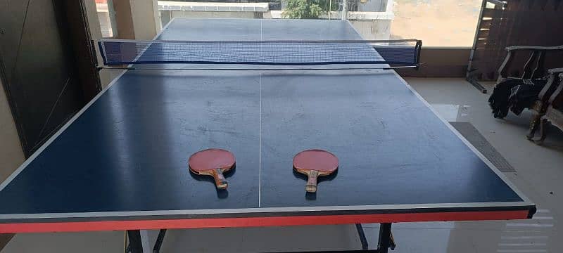 Giant dragon Table tennis with rackets and net 0