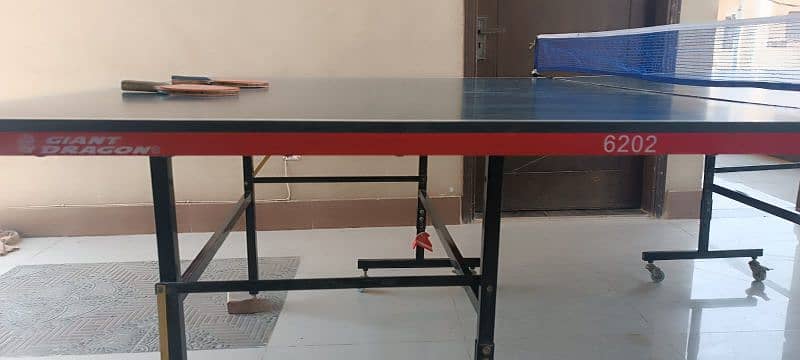 Giant dragon Table tennis with rackets and net 2