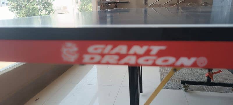 Giant dragon Table tennis with rackets and net 4