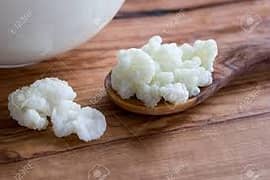Dairy Kefir Grains (live and active)