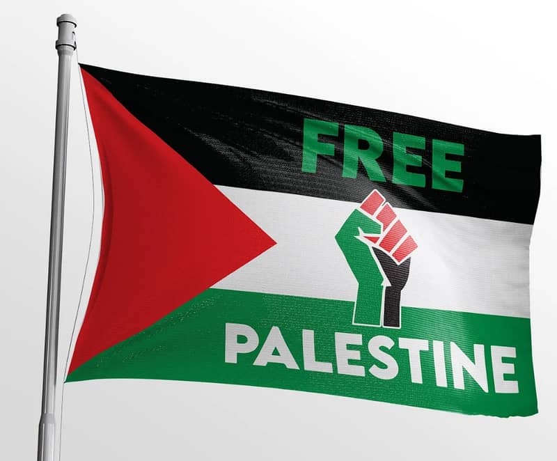 Free Palestine Flag for Your Car Windscreen Window , 03008003560 9