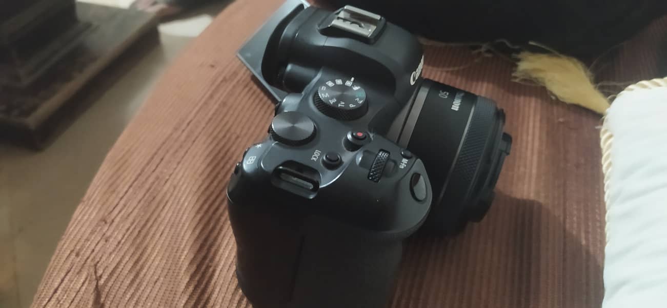 Canon R6 full frame with 50mm lens 4