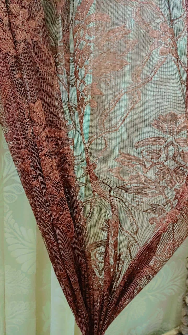 Curtains: off white and dark brown 1