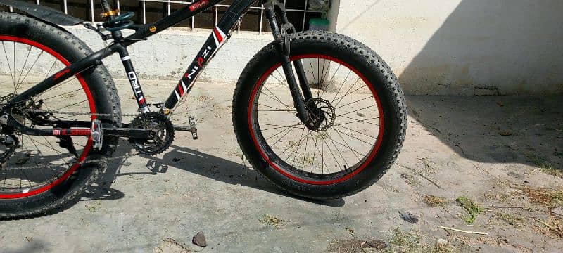 Fat Tyre bicycle 2