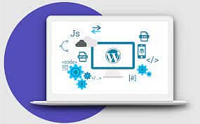 Web Development, Ecommerce Web Development, WordPress, Web Designing 8