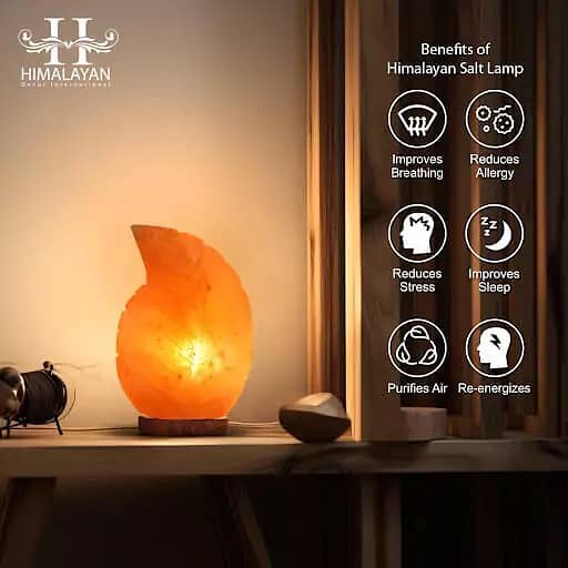 Himalayan Salt Lamps - Home Decor, Office, Table, Bedroom 4
