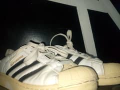 White Adidas Superstar sneakers