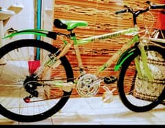 bicycle brand new not used ful size 26:inch  dual gesr