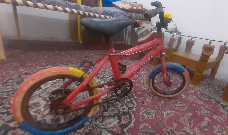 kid cycle sports 4