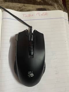 Mouse & Keyboard Combo