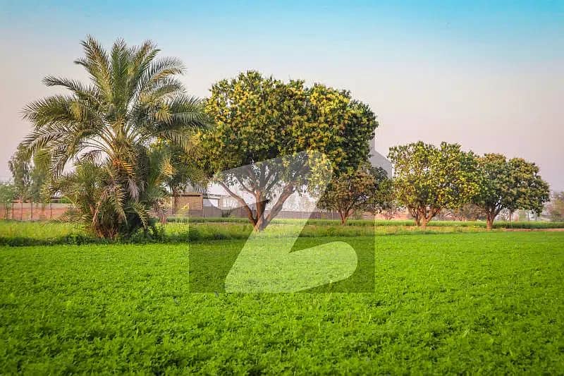 Land For Sale For Farm Houses Plot & Investment Road & Canal Facing 0