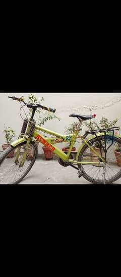 Cycle full Size Used Like New Urgent Sale 0