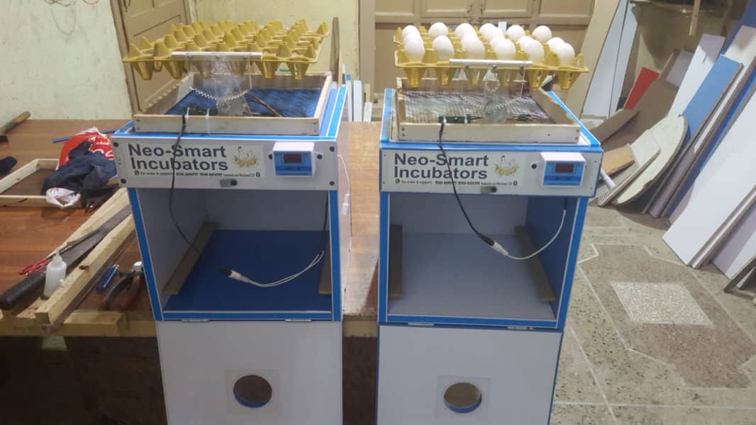 30 Eggs full automatic incubator | Neo-Smart 8
