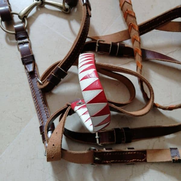 horse riding gear leather bridle rein reins 1