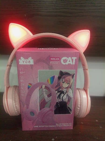 Cat ear headphones 2
