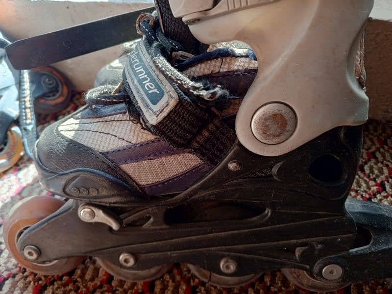 skates 1