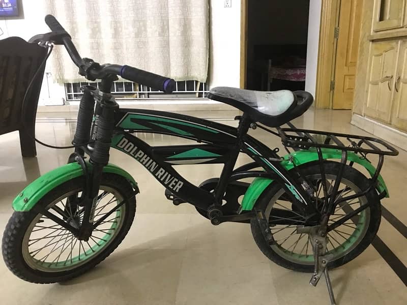 dolphin bike for kids in good condition 0