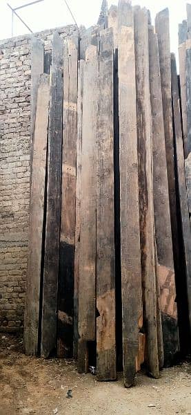 Top quality Diar wood | Diar | Timber | Himalayan Cedar 2