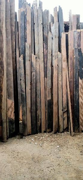 Top quality Diar wood | Diar | Timber | Himalayan Cedar 4
