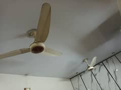 2 pieces Zamzam ceiling fan