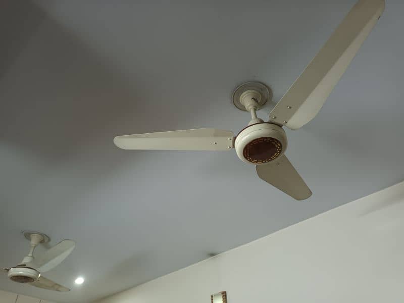 2 pieces Zamzam ceiling fan 1