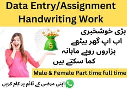 Assignment online work Available. 03095793024