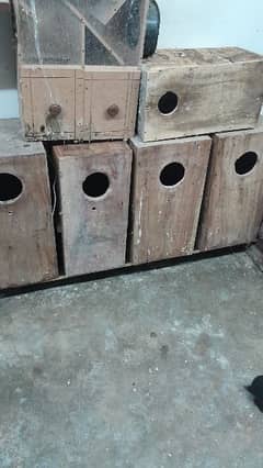 raw breeder boxes