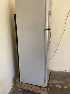 PEL Refrigerator