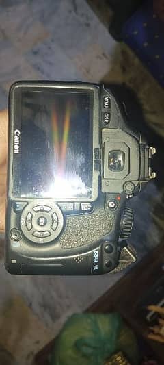 Canon 550D with original charger - 55-250 lense and Battery