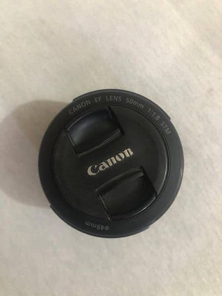 50mm Canon 1.8 STM lens 3
