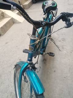 Roger bicycle for sale for 10 se 12 year kids