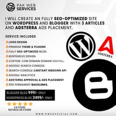 Get A Fully SEO-optimized Monitized site on WordPress and Blogger. 0