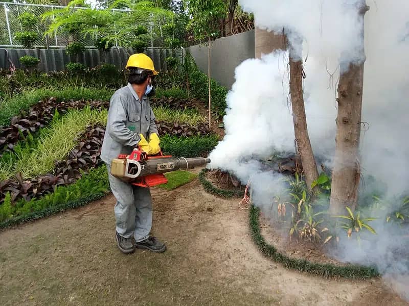 Pest control services & Termite Treatment Fumigation all types insects 3