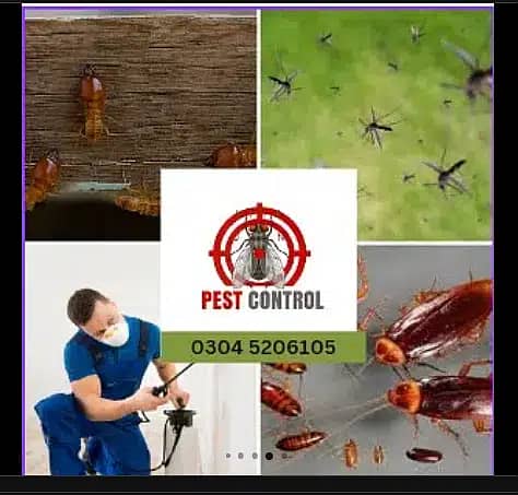 Termite Control | Dengue control | Fumigation | Pest control service 0