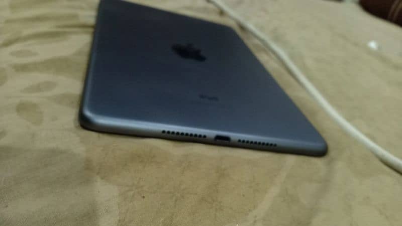 I pad mini 5 0