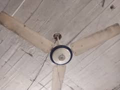 ceiling fan, used fans,