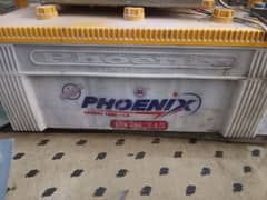 phoenix battery 25 plates