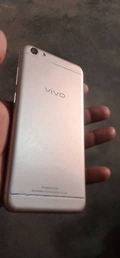 ViVo