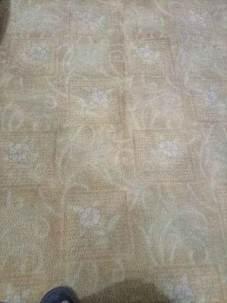 imported carpet 2