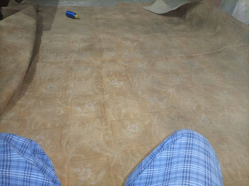 imported carpet 4