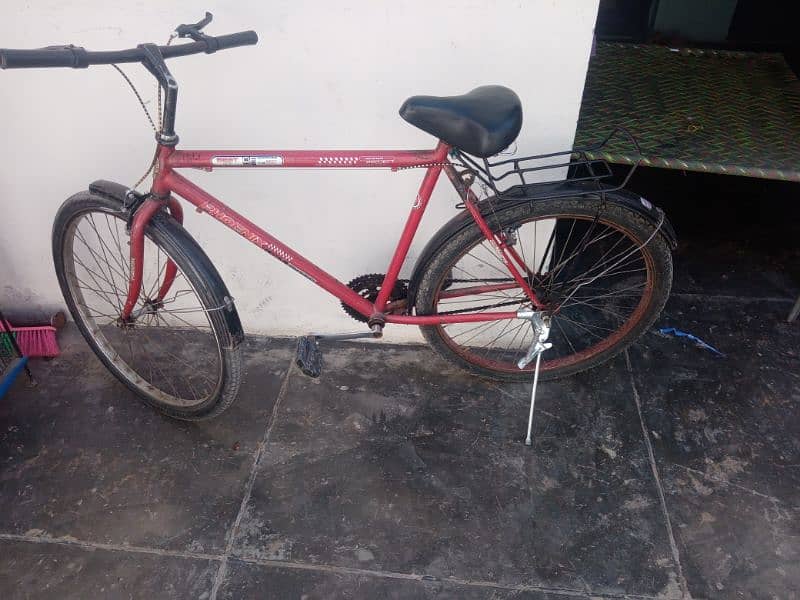 New cycle phoenix. 3