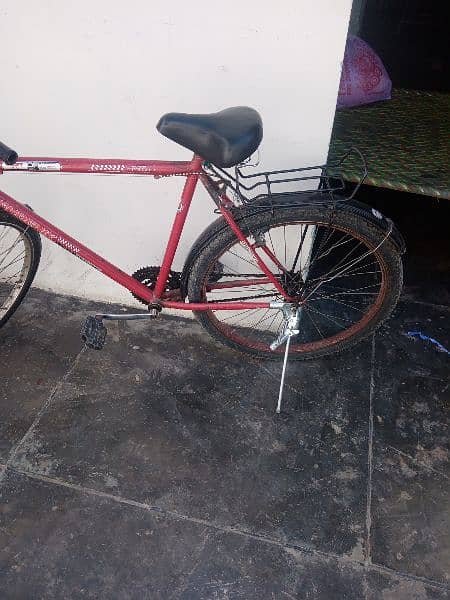New cycle phoenix. 4