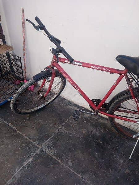 New cycle phoenix. 5