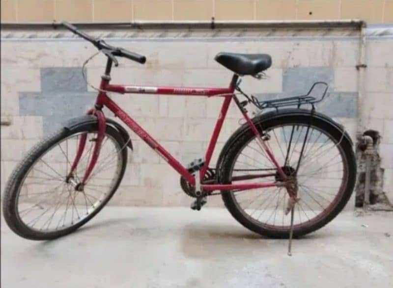 New cycle phoenix. 1