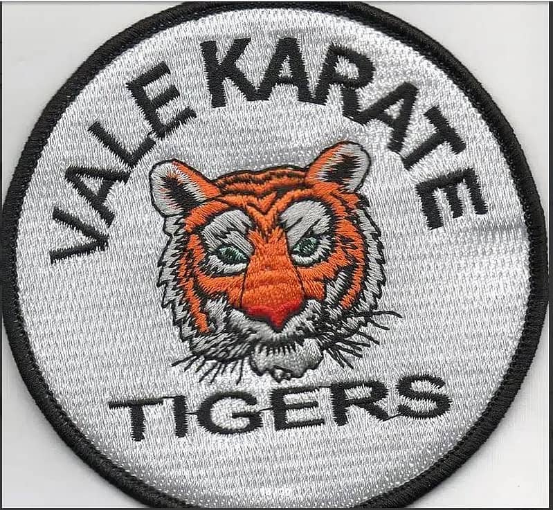 Embroidery / Chenille / Woven / Merrow / Printed / PVC / PU Patches 3