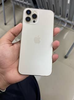 Iphone 12 Pro Max 10 By 9 Condition 256 GB