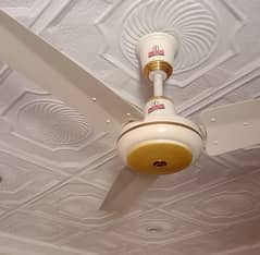 Indus celling fan 56" 10/10 condition, off white color