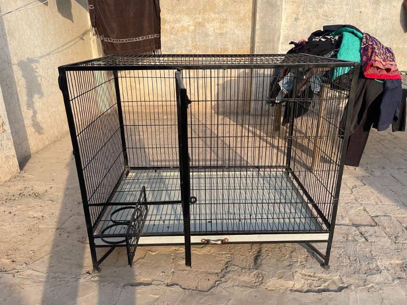 Steel Cage New Condition 4