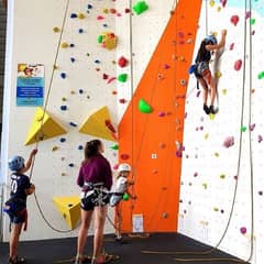 Climbing Holds/ Wall Climbing/ Climbing Rock/ wall Climber for kids